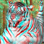 une_3D